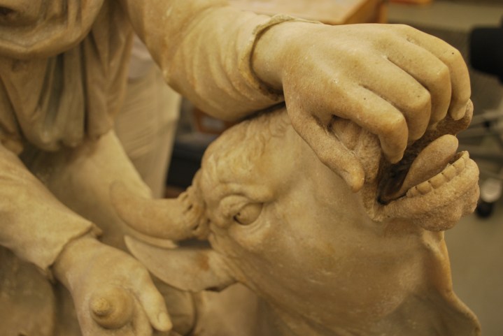 Detail of the bull's head, Standish Tauroctony