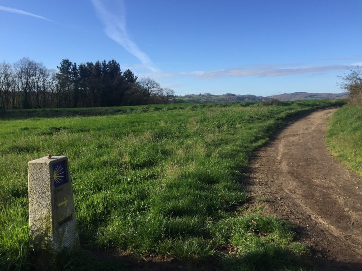 Sarria path picture