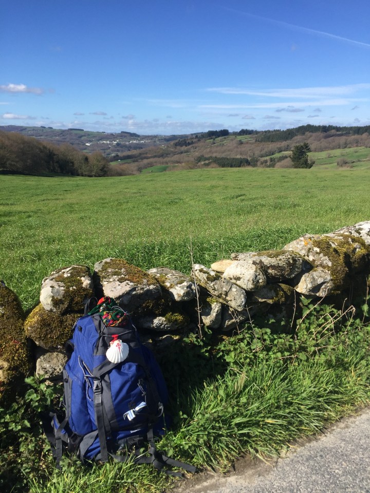A pause in the Galician countryside.