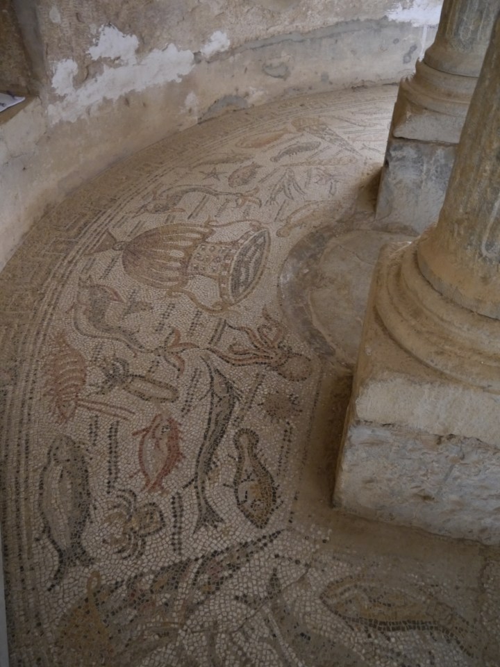 Mosaic decoration around the baptismal font of Djémila